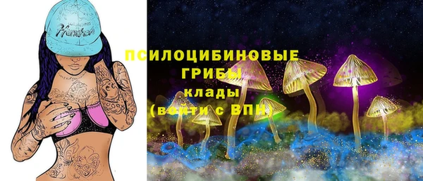 дурь Алзамай